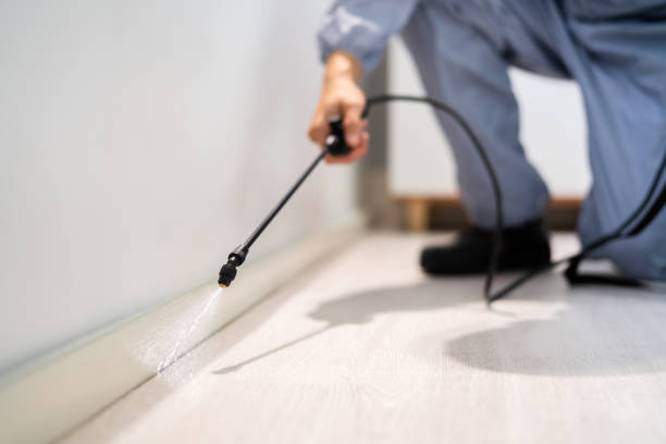 Licensed Mosquito Control service in Homer, LA - Show Me Pest Control
