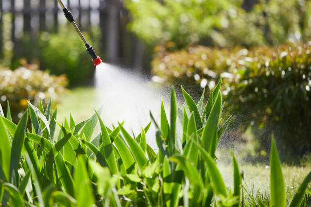 24/7 Emergency Mosquito Control experts in Homer, LA