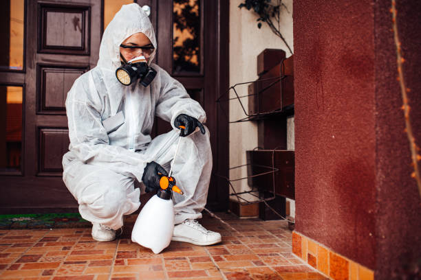 Reliable Mosquito Control contractor in Homer, LA by Show Me Pest Control